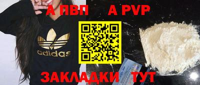 индика Нальчик