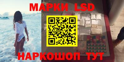 индика Нальчик
