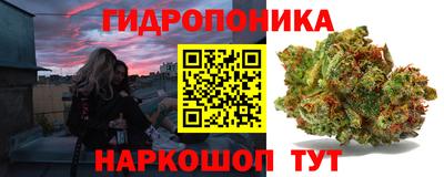 индика Нальчик