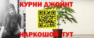 индика Нальчик