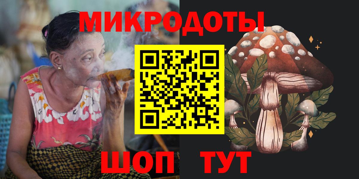 Псилоцибиновые грибы Psilocybine cubensis Сыктывкар